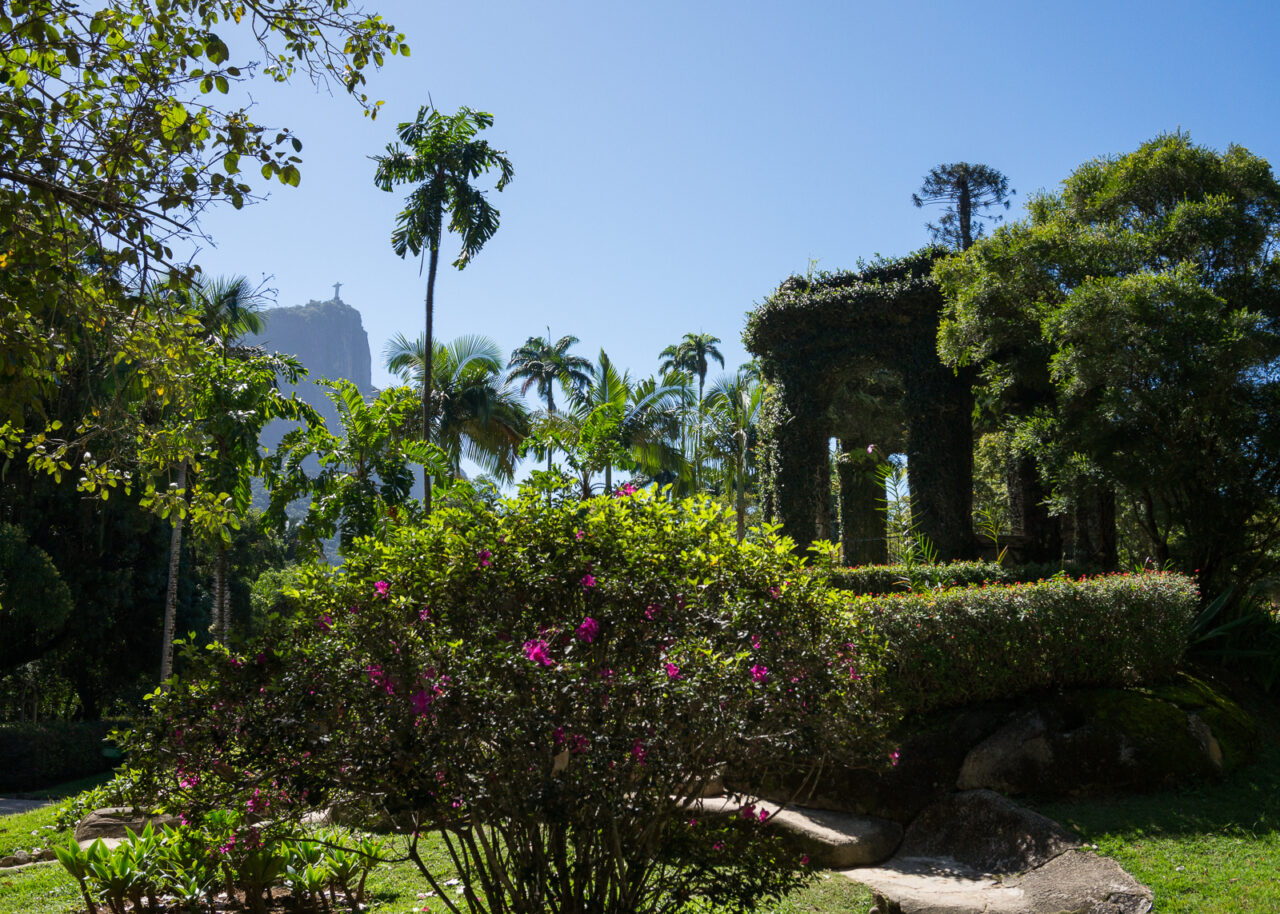 Botanical Gardens in Rio de Janeiro Brazil