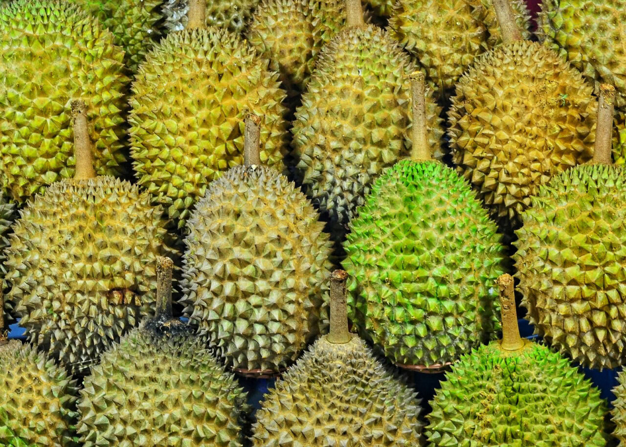 Durian fruit