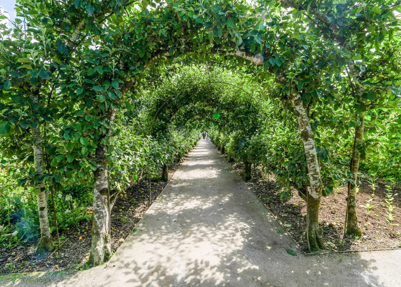 The Lost Gardens of Heligan in Cornwall